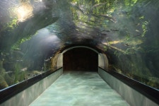 떠난 한화 아쿠아 플라넷 일산 나들이! [떠나요] 아빠 카메라 D5300과 함께 떠난 한화 아쿠아 플라넷 일산... 