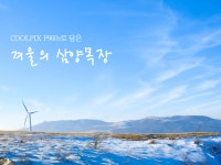 Nikon Blog :: CoolPix 태그의 글 목록 (3 Page) CoolPix 태그의 글 목록 (3 Page)