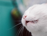 Nikon Blog :: [니콘 노하우]/촬영 꿀팁 카테고리의 글 목록 (4 Page) [니콘 노하우]/촬영 꿀팁 카테고리의 글 목록 (4 Page)