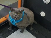 내가 이로케 귀요운데 살까지 빼야 해? | 1boon 내가 이로케 귀요운데 살까지 빼야 해?