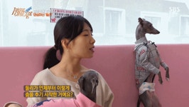 더쿠 - 홍대 애견카페 핵인싸ㅋㅋㅋㅋㅋㅋㅋㅋㅋ