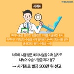 컬럼 | 다음 금융 컬럼