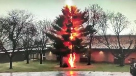 [영상] 번쩍하곤 순식간에 잿더미..벼락 맞은 나무 - kakaoTV [영상] 번쩍하곤 순식간에 잿더미..벼락 맞은 나무