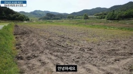 죽어가고 있는 소농을 햇빛이 살릴 수 있다 - kakaoTV 죽어가고 있는 소농을 햇빛이 살릴 수 있다