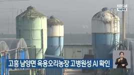 고흥 남양면 육용오리농장 고병원성 AI 확인 - kakaoTV 고흥 남양면 육용오리농장 고병원성 AI 확인