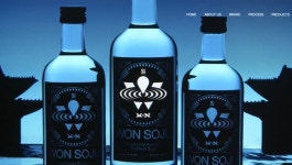 [단독] 박재범 원소주 편의점 판매 어디?..GS25 낙점 - kakaoTV [단독] 박재범 원소주 편의점 판매 어디?..GS25 낙점