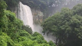 [영상] 태풍 송다 물폭탄에 모습 드러낸 엉또폭포 - kakaoTV [영상] 태풍 송다 물폭탄에 모습 드러낸 엉또폭포