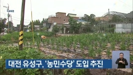 대전 유성구, 농민수당 도입 추진 - kakaoTV 대전 유성구, 농민수당 도입 추진