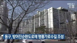 울산 동구, 방어진순환도로에 명품가로수길 조성 - kakaoTV 울산 동구, 방어진순환도로에 명품가로수길 조성