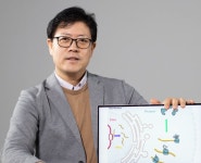 다음 금융