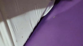 더쿠 - ❌극혐주의❌ 모텔 침대에 진드기·빈대 꿈틀…사장 청소했다, 환불 안 돼[영상] ❌극혐주의❌