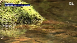 [남도의 풍경]마귀할멈 폭포-화순군 도암면(44) - kakaoTV [남도의 풍경]마귀할멈 폭포-화순군 도암면(44)
