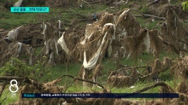 처리 막막한 충주시 국비 요청 - kakaoTV 수천 톤 수해쓰레기에 몸살 앓는 달천.. 처리 막막한 충주시 국비 요청