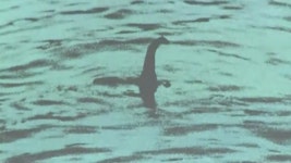 네스호 괴물 네시를 찾아라...51년 만의 대규모 수색 - kakaoTV 네스호 괴물 네시를 찾아라...51년 만의 대규모 수색