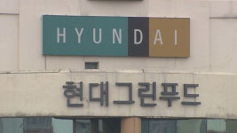 [단독] 유부초밥 먹고 식중독…현대그린푸드 급식 추정 결론 - kakaoTV [단독] 유부초밥 먹고 식중독…현대그린푸드 급식 추정 결론