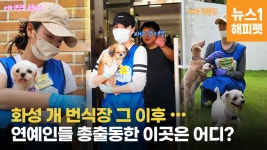 산부인과 됐어요…반려마루에 무슨 일? [최기자의 동행] - kakaoTV 동물병원이 산부인과 됐어요…반려마루에 무슨 일? [최기자의 동행]