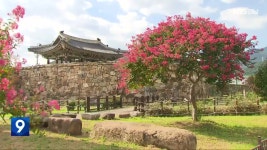 [60초 경남] 조선시대 성곽 역사를 간직한 ‘진해 웅천읍성’ - kakaoTV [60초 경남] 조선시대 성곽 역사를 간직한 ‘진해 웅천읍성’