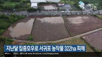 지난달 집중호우로 서귀포 농작물 322ha 피해 - kakaoTV 지난달 집중호우로 서귀포 농작물 322ha 피해