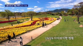 [남도의 풍경]드론으로 본 가을 정원-순천만 국가정원(59) - kakaoTV [남도의 풍경]드론으로 본 가을 정원-순천만 국가정원(59)