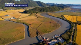 [남도의 풍경]바람에 일렁이는 금빛 물결-순천만 갈대밭(58) - kakaoTV [남도의 풍경]바람에 일렁이는 금빛 물결-순천만 갈대밭(58)