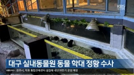 대구 실내동물원 동물 학대 정황 수사 - kakaoTV 대구 실내동물원 동물 학대 정황 수사