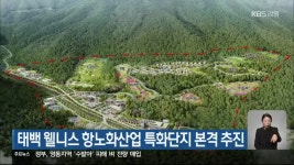 태백 웰니스 항노화산업 특화단지 본격 추진 - kakaoTV 태백 웰니스 항노화산업 특화단지 본격 추진