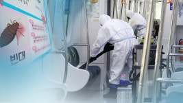 [뉴스포커스] 지하철 의자에? 택배 상자에?…빈대 공포 진실은 - kakaoTV [뉴스포커스] 지하철 의자에? 택배 상자에?…빈대 공포 진실은