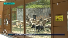 인간 중심에서 야생동물 보호·복원으로 무게 옮긴 청주동물원 - kakaoTV 인간 중심에서 야생동물 보호·복원으로 무게 옮긴 청주동물원