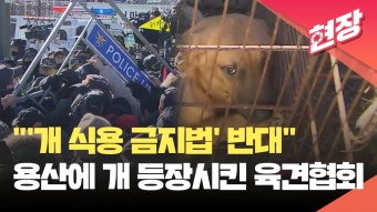 “용산에 개 풀겠다”…육견협회, ‘개 식용 금지법’ 반대 집회서 경찰과 대치 [현장영상] - kakaoTV “용산에 개 풀겠다”…육견협회, ‘개...