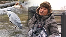 “요즘도 새보러 다녀요” 새박사 윤무부 교수 [앵커人] - kakaoTV “요즘도 새보러 다녀요” 새박사 윤무부 교수 [앵커人]