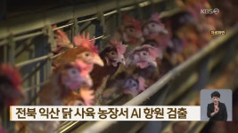 전북 익산 닭 사육 농장서 AI 항원 검출 - kakaoTV 전북 익산 닭 사육 농장서 AI 항원 검출