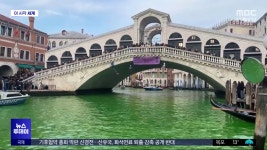 [이 시각 세계] 초록빛으로 물든 베네치아 대운하 - kakaoTV [이 시각 세계] 초록빛으로 물든 베네치아 대운하