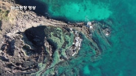 [뉴스광장 영상] 게우지코지 - kakaoTV [뉴스광장 영상] 게우지코지