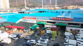 각화동 농산물도매시장 이전..전국 최대 스마트마켓 추진 - kakaoTV 각화동 농산물도매시장 이전..전국 최대 스마트마켓 추진