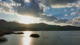 [뉴스광장 영상] 광주호 호수생태공원 - kakaoTV [뉴스광장 영상] 광주호 호수생태공원