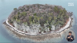 새떼 배설물로 뒤덮인 전남 여수 장군도‥범인은 텃새 된 민물가마우지 - kakaoTV 새떼 배설물로 뒤덮인 전남 여수 장군도‥범인은 텃새 된... 