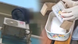 프랑스 경유지 삼아 마약 유통…코카인도 들여온 일당 구속기소 - kakaoTV 프랑스 경유지 삼아 마약 유통…코카인도 들여온 일당 구속기소