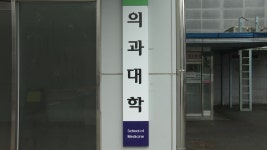 전국 의대생 4명 중 1명 휴학계...동맹휴학 허가 1건도 없어 - kakaoTV 전국 의대생 4명 중 1명 휴학계...동맹휴학 허가 1건도 없어