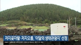 저지곶자왈·저지오름, ‘이달의 생태관광지’ 선정 - kakaoTV 저지곶자왈·저지오름, ‘이달의 생태관광지’ 선정