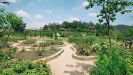 서울시, 2026년까지 관내 정원 1천곳 조성 - kakaoTV 서울시, 2026년까지 관내 정원 1천곳 조성