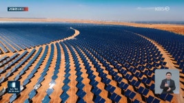 “이러다 다 죽어” 미국도 곡소리…중국 태양광의 위력 - kakaoTV [경제합시다] “이러다 다 죽어” 미국도 곡소리…중국 태양광의 위력