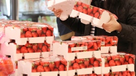 대형마트 과일매출 1위는 딸기…국민과일 사과는 2위 - kakaoTV 대형마트 과일매출 1위는 딸기…국민과일 사과는 2위