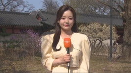 [날씨] 주말 완연한 봄 날씨…저녁부터 남해안·제주 비 - kakaoTV [날씨] 주말 완연한 봄 날씨…저녁부터 남해안·제주 비