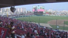 챔필에서 KIA 타이거즈 경기 보고 1박 2일 광주여행 - kakaoTV 챔필에서 KIA 타이거즈 경기 보고 1박 2일 광주여행