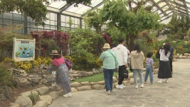 함평나비대축제 기간 ktx 함평역 하루 3회 임시 정차 - kakaoTV 함평나비대축제 기간 ktx 함평역 하루 3회 임시 정차