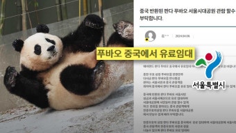 中 사생팬들 