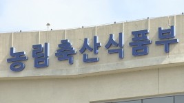 고양이 잇단 돌연사에 사료 검사 돌입…3건 적합 - kakaoTV 고양이 잇단 돌연사에 사료 검사 돌입…3건 적합