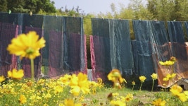 전남도, 보성에 ‘한복문화 창작소’ 조성한다 - kakaoTV 전남도, 보성에 ‘한복문화 창작소’ 조성한다