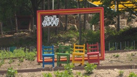 규제가 지켜준 숲에 도심 쉼터…의정부 자일산림욕장 개장 - kakaoTV 규제가 지켜준 숲에 도심 쉼터…의정부 자일산림욕장 개장