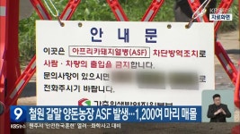 철원 갈말 양돈농장 ASF 발생…1,200여 마리 매몰 - kakaoTV 철원 갈말 양돈농장 ASF 발생…1,200여 마리 매몰